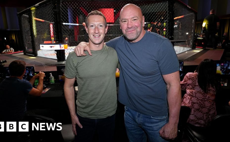 UFC boss Dana White and two others join Meta board of directors
