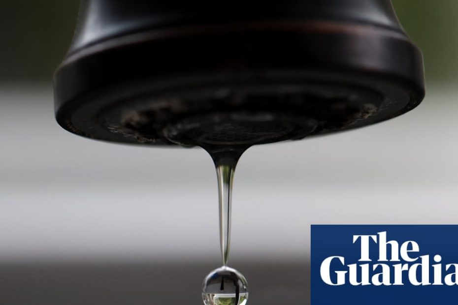 UK fails to match EU in crackdown on 'forever chemicals' PFAS, scientists say