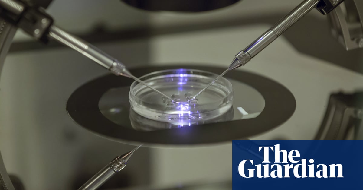 UK fertility watchdog finds lab-grown egg or sperm technology on edge of survival in reproduction