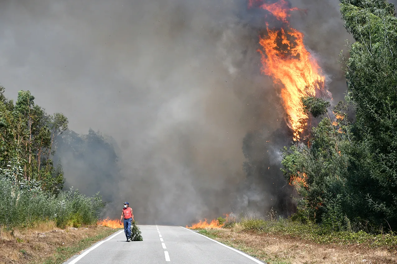 Uma casa bem protegida pode ser um lugar seguro para resistir a incêndios florestais