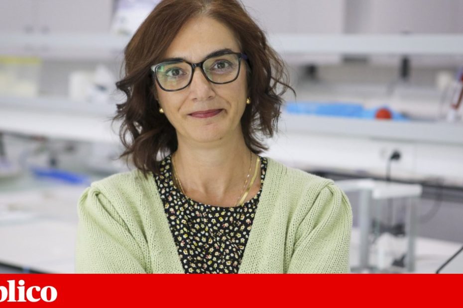 Universidade de Lisboa lidera novo laboratório de electrónica flexível na China |
