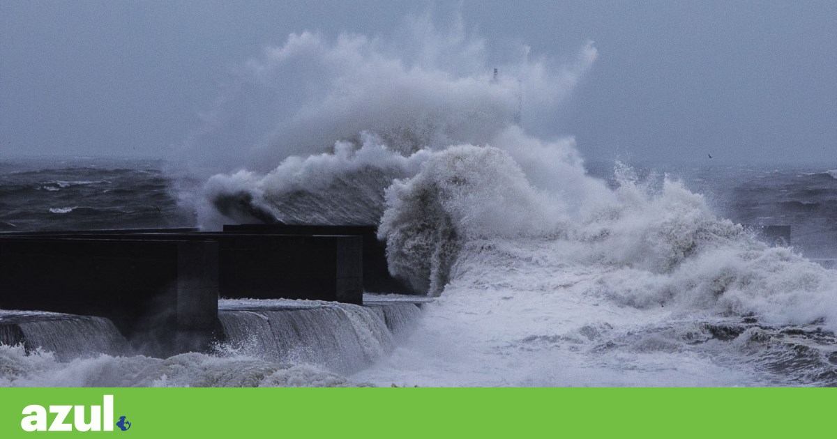 Vento, chuva e ondas de cinco metros -o impacto da tempestade em Portugal |