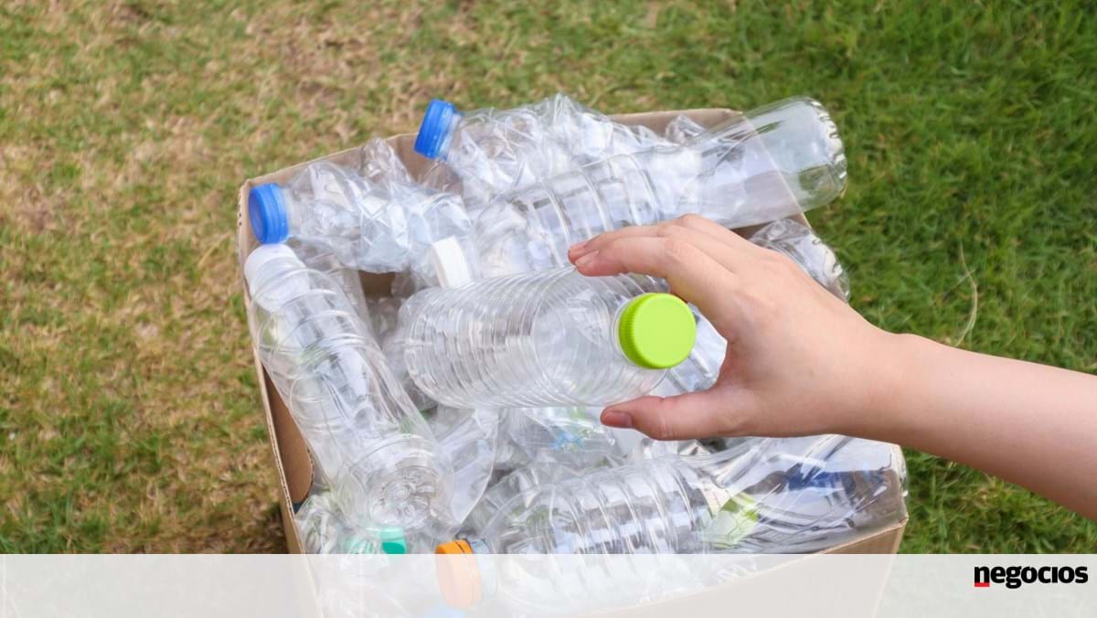 Volume de reciclagem de embalagens em Portugal aumentará 4% em 2024 – Sustentabilidade