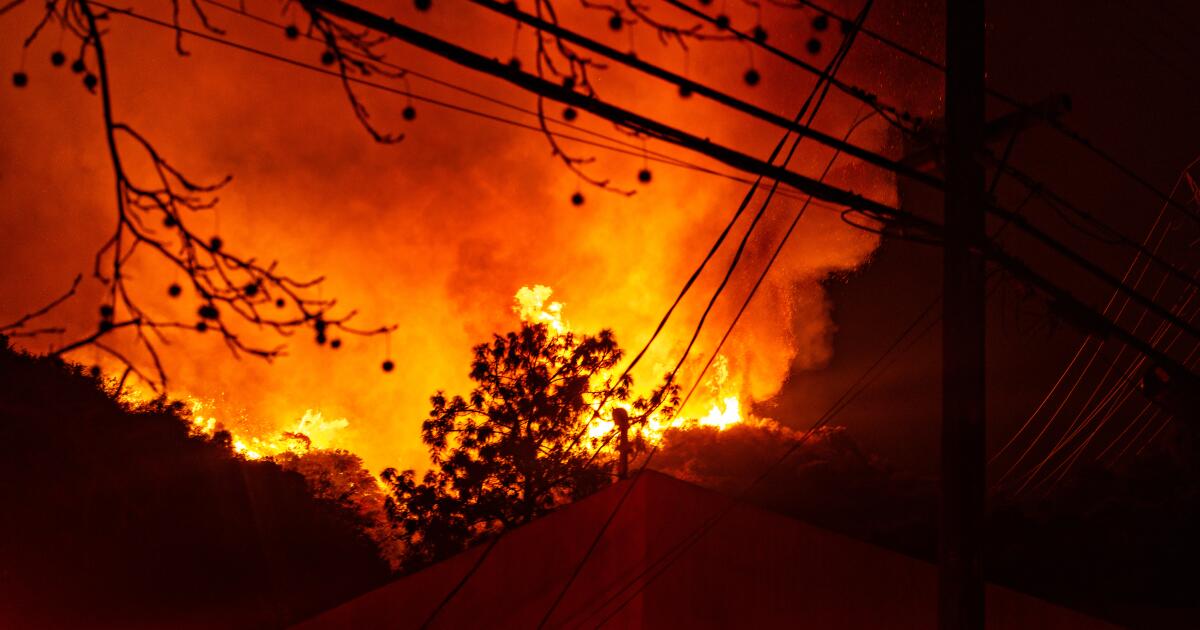 What caused the Los Angeles fires? How long will it take to find out?