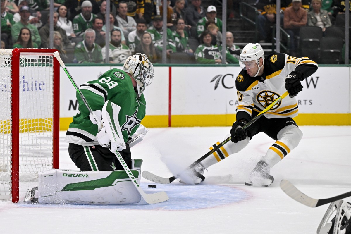 What if the NHL team is stock: purchase, sell or hold brown bears, stars and kings?
