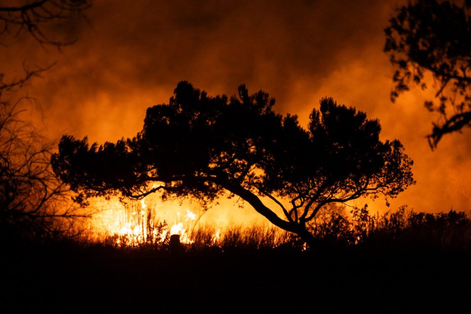 What to know about the Los Angeles Fire Department budget | Climate crisis news