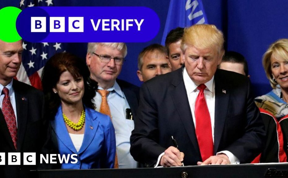 What we know about H-1B visas is conflicting among Trump supporters