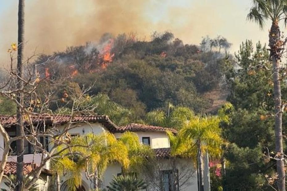 What we know about the cause of the Palisades Fire