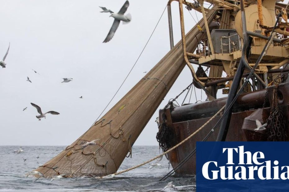 Window to halt natural decline in England is closing rapidly, regulator says