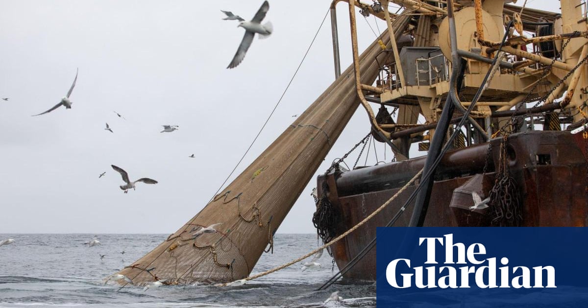 Window to halt natural decline in England is closing rapidly, regulator says