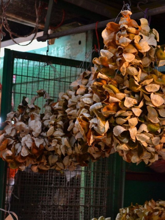 Xinhui, subúrbio da China, ouro cresce em árvores