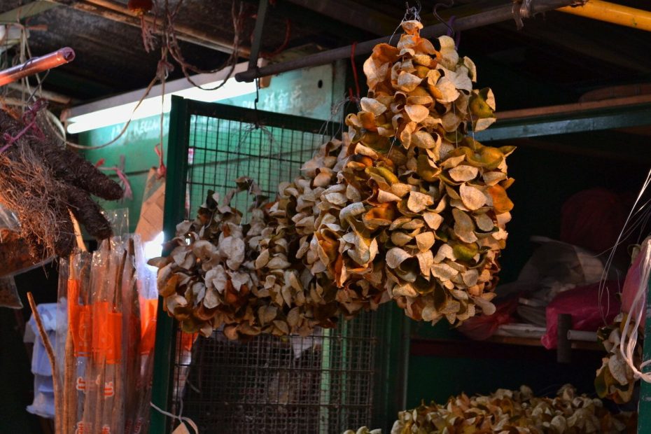 Xinhui, subúrbio da China, ouro cresce em árvores