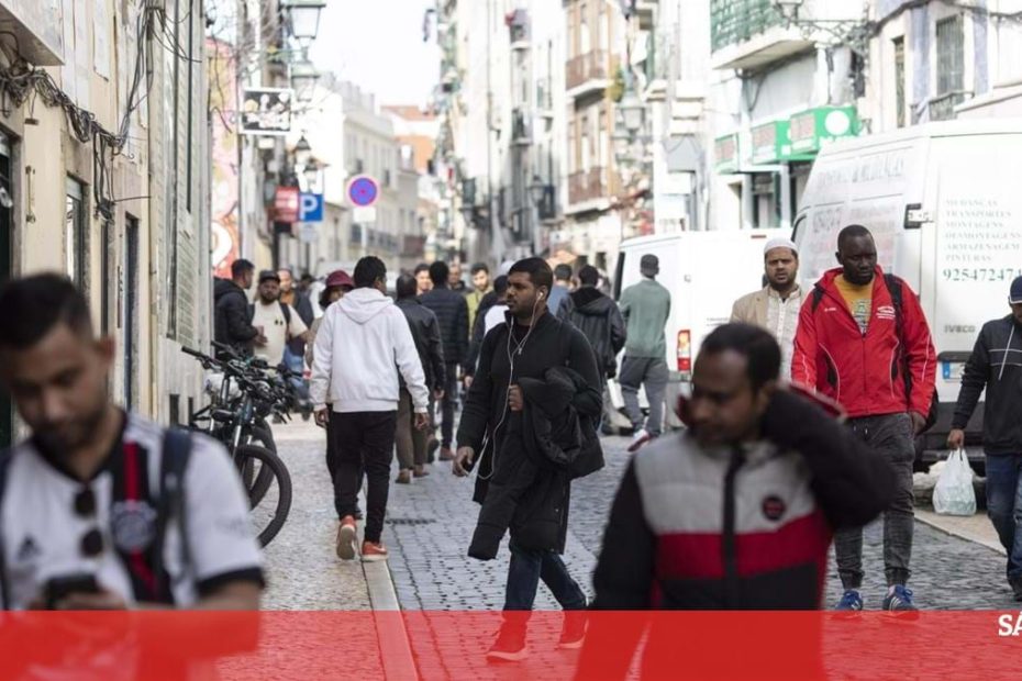 migrante. Projeto Falso Testemunho – Portugal