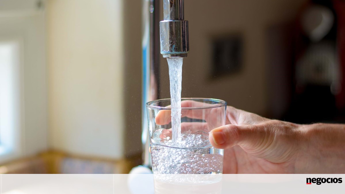 Portugal esgota seus recursos naturais ao longo do ano hoje – sustentabilidade