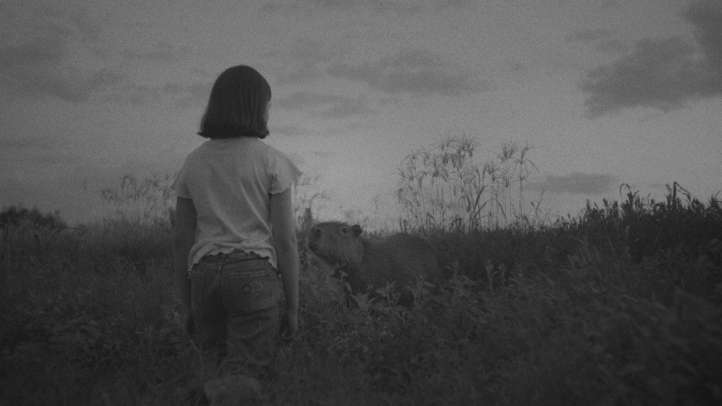 Argentina road movie follows girls with gifts