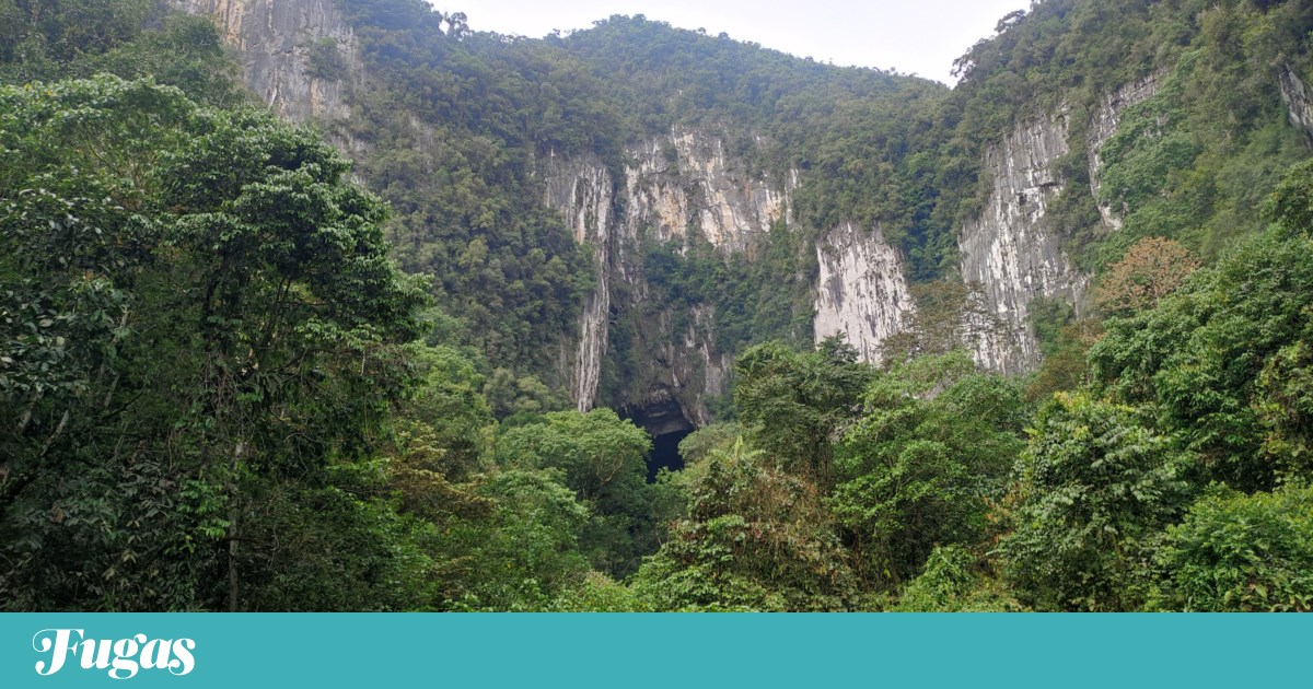 Do Parque Nacional Bacco ao Parque Nacional Mulu | Escape do leitor