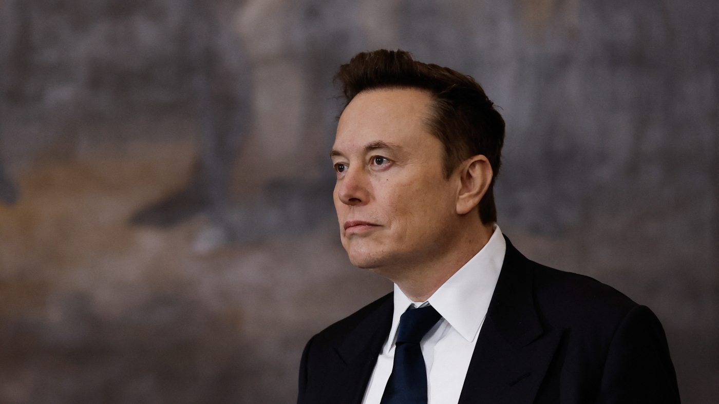 Elon Musk (Elon Musk