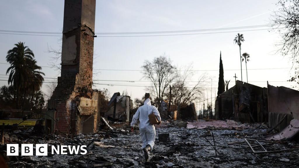 How will La Fires Destruction change this year's Grammy Award