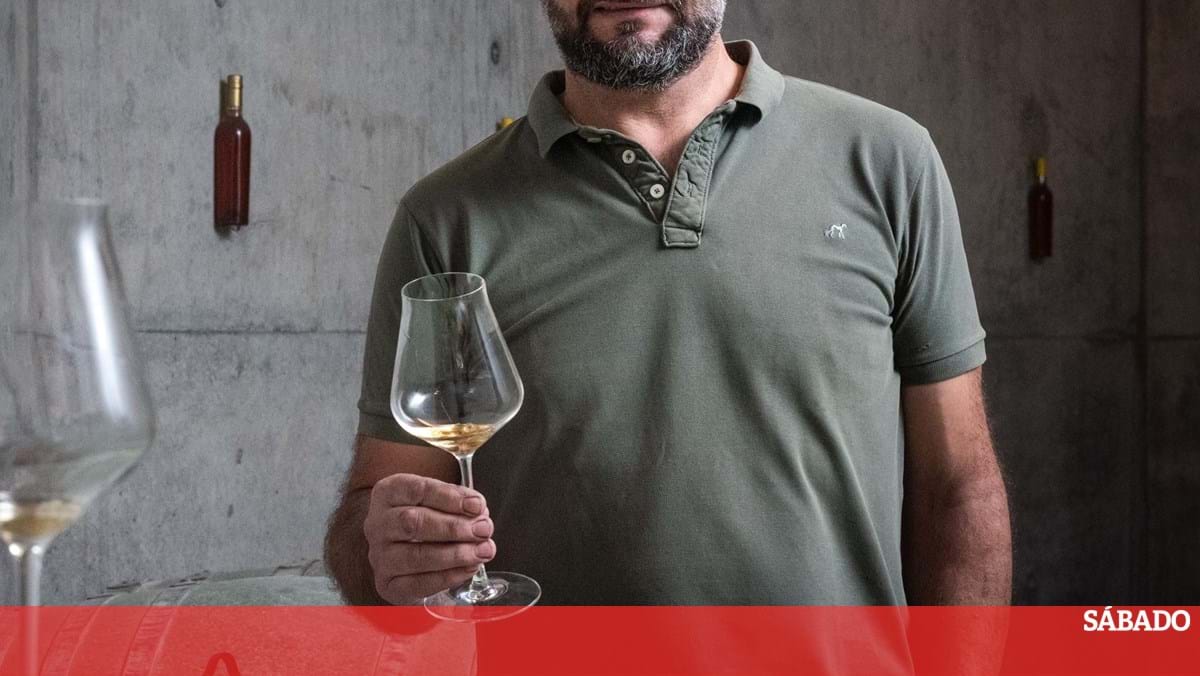 Imperfeição de vinho de Paulo Coutinho – Vinas