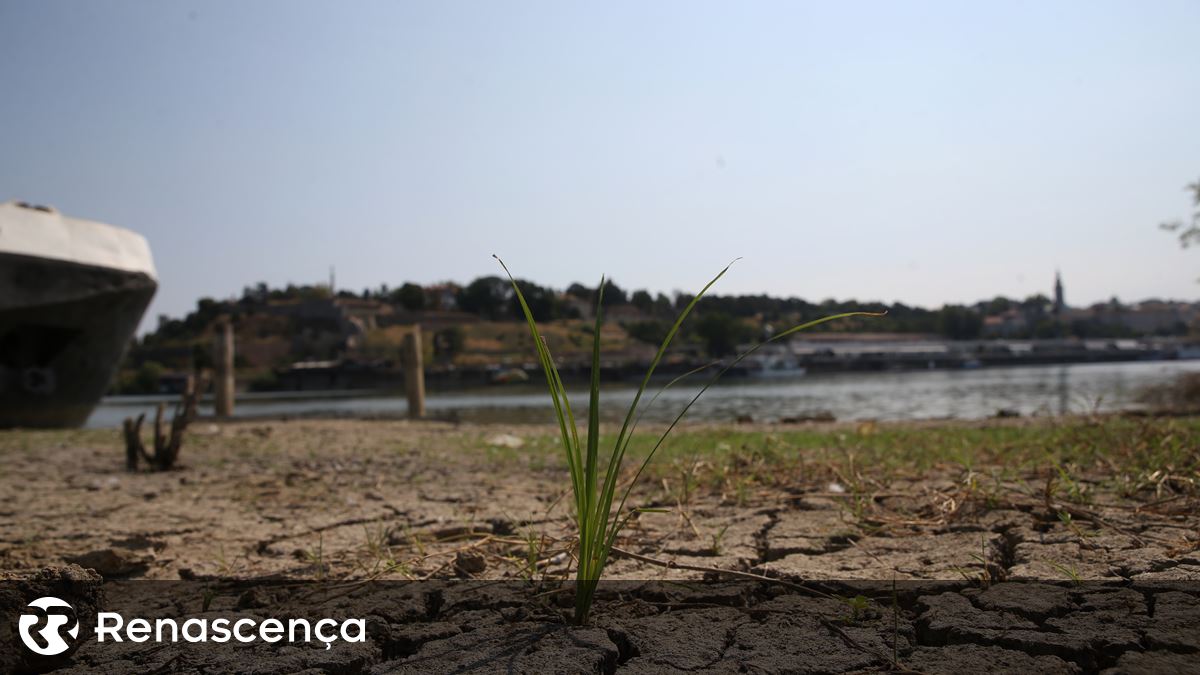 O petróleo processado após a morte devido à lacuna de calorias
