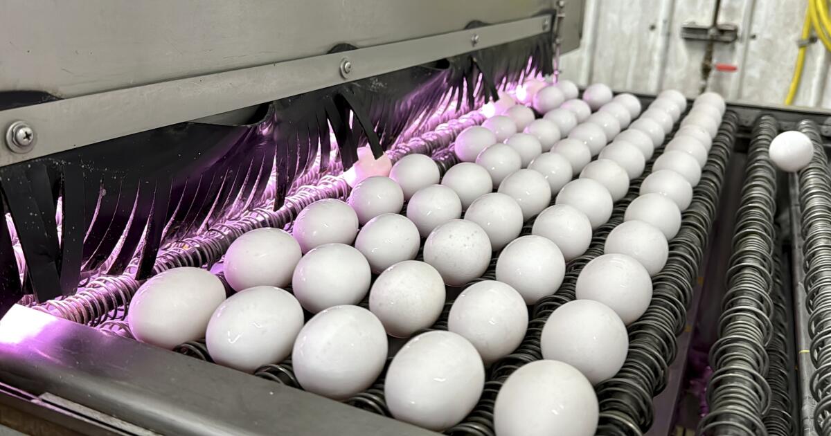 More eggs confiscated at the U.S.-Mexico border amid bird flu outbreak