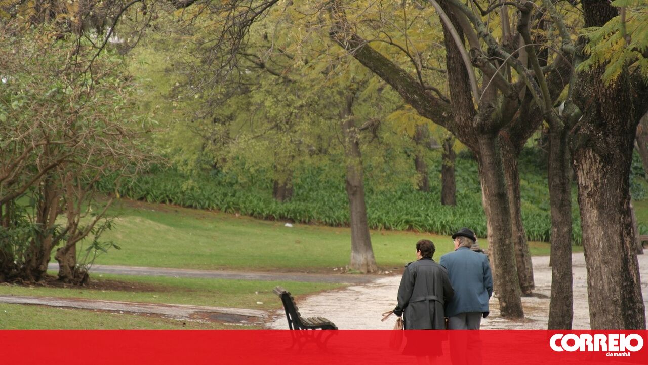 O bloqueio nas reformas precoces pode ser muito drástico, mas podem ser feitos ajustes – economia