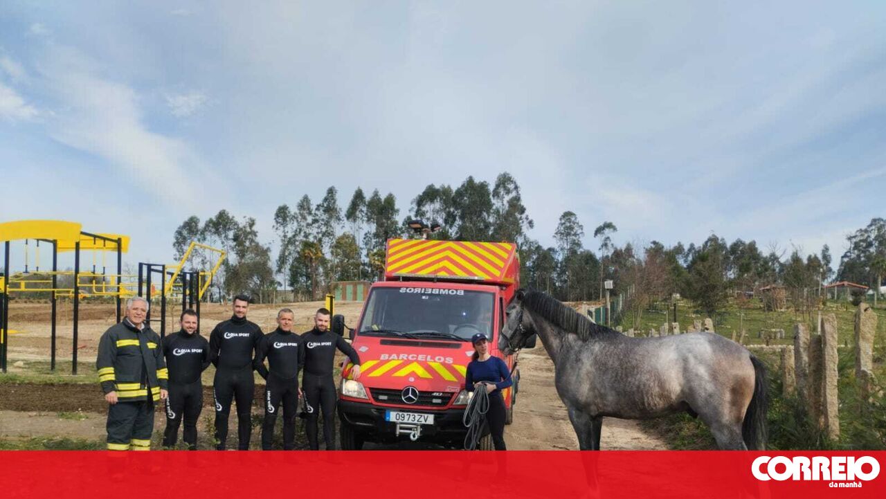 O cavalo caiu para o rio Cavado em Barcelona-português resgatou o cavalo