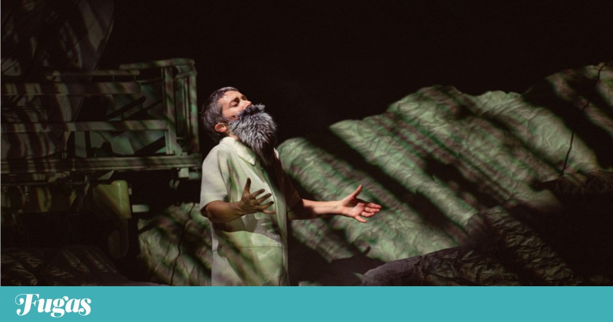 O que fazer? Quinta -feira é um dia para abrir livros para escrever e dançar |
