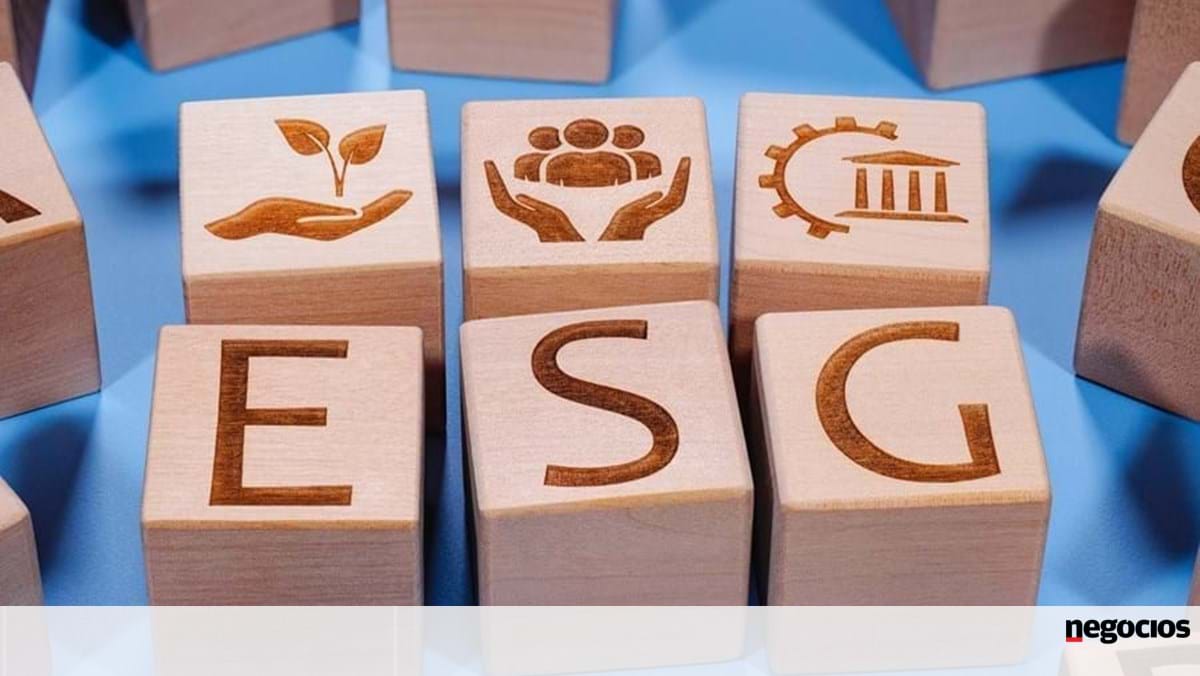 O relatório do BCSD afirma que as empresas têm “maturidade sustentável em pouca sustentabilidade” – governança