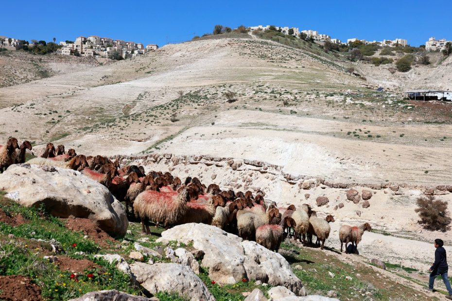 Palestinians in the West Bank describe how Israeli settlers occupy land