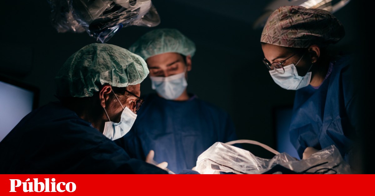 Portugal alcança o histórico de marketing do coração em 2024 |
