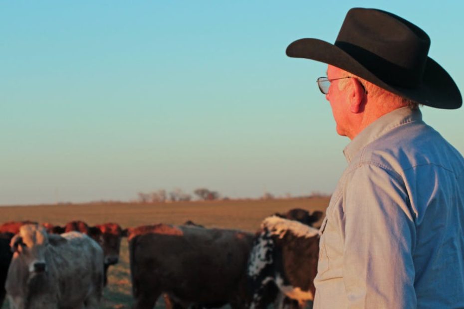 Rural Americans live less than cities - New Research