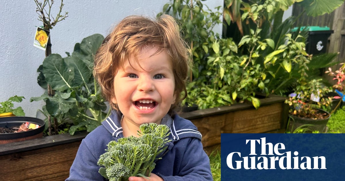 Sydney parents accused North Beach Hospital of failure after two years of age | Sydney