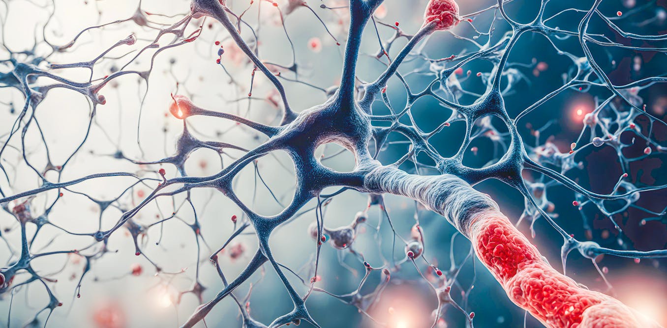 Traumatic brain injury has a toxic effect, with the last few weeks after initial impact – Antioxidant materials reduce damage in mice