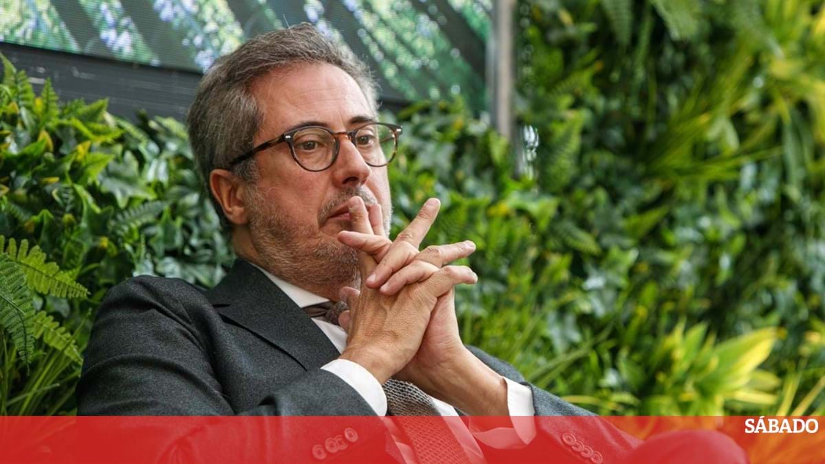 Tutti -fruti: o enredo de desenhar joséeduardomartins -portuguesos