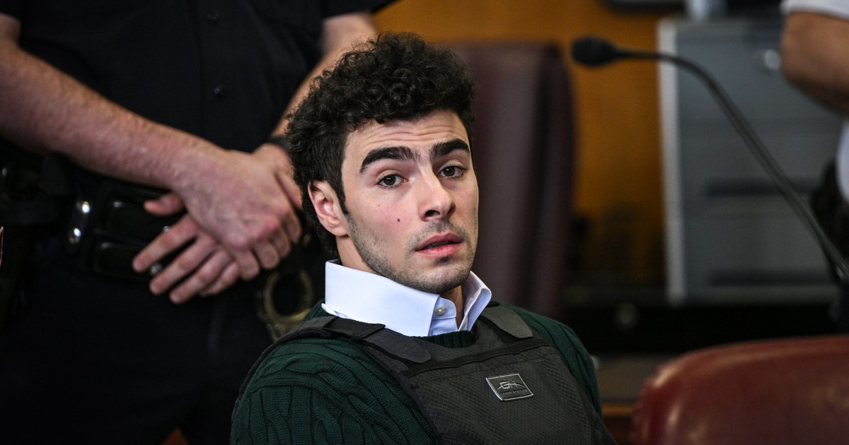 Luigi Mangione's so-called diary entry was filed in the new court