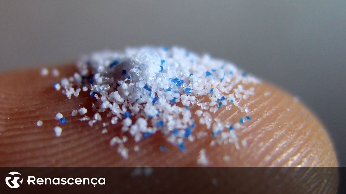 Microplásticos inalados desativam células do sistema imunológico pulmonar
