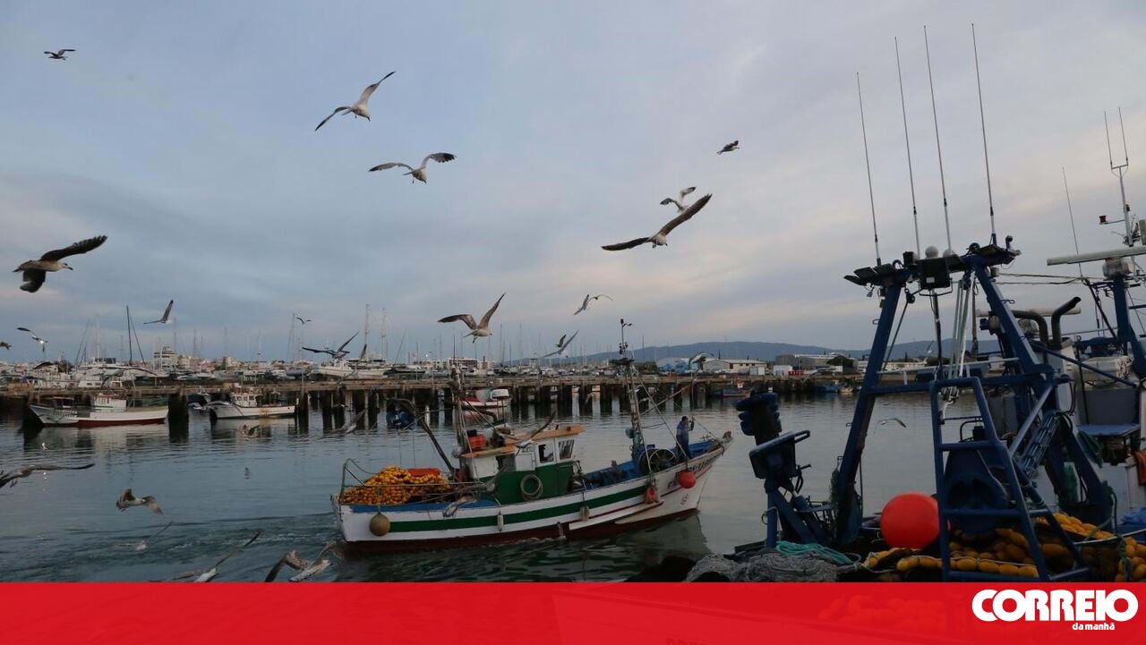 Os produtores de pesca lamentam atos ilegais e dizem que as inspeções são normais – sociedade