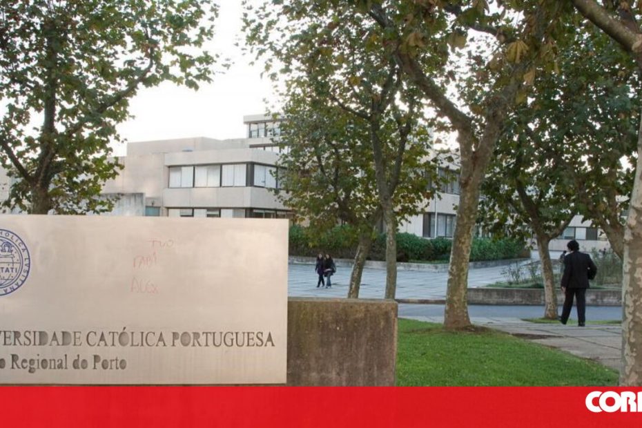 A pesquisa alerta que a necessidade de apoio a organizações portuárias é descentralizada - sociedade