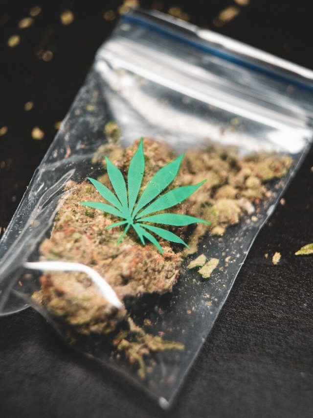 As lojas de cannabis levam as pessoas a hospitais em Faro