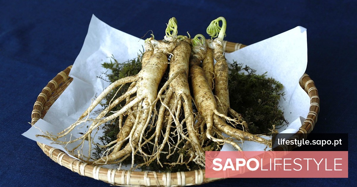 As múltiplas características do ginseng são explicadas pelo peso e nutrição do médico