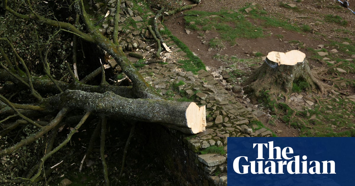 Court tells | UK News