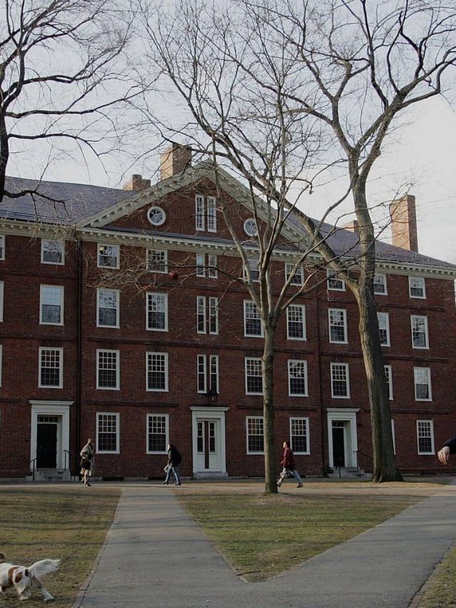 “Há um problema obscuro:” O governo Trump levanta 2,4 bilhões de euros da Universidade de Harvard