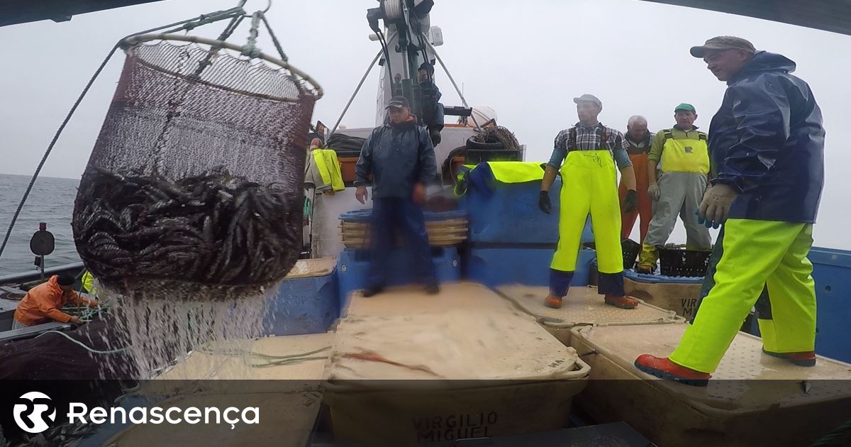 ONGs europeias exigem mais apoio à pesca manual e menor concentração econômica na indústria