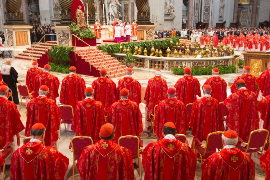 The Pope wants: What cardinal is the new leader looking for? |Religious News
