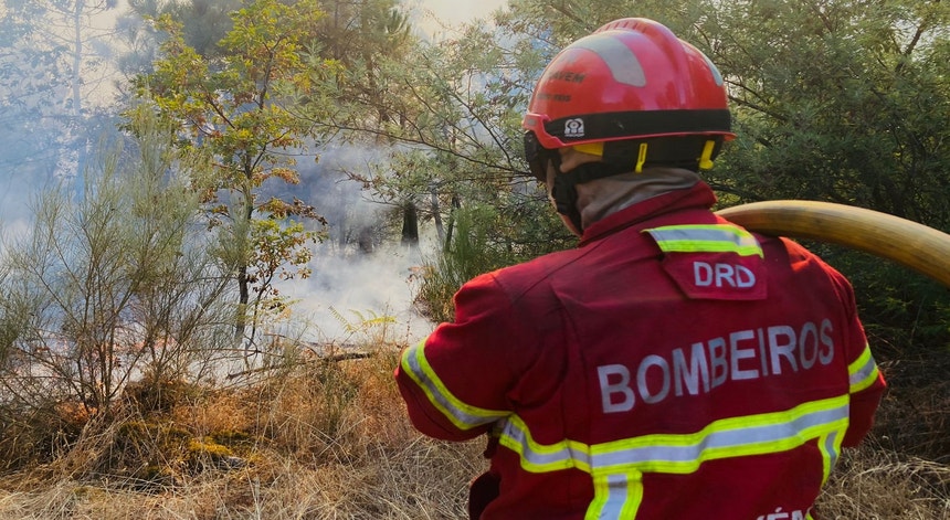 14 cidades em Bragança, Guarda e Faro estão em risco de incêndio