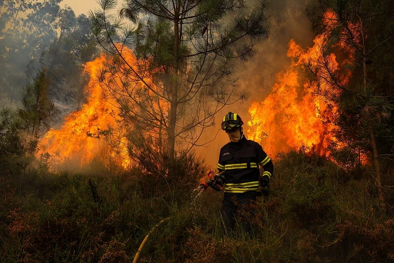 14 cidades em Bragança, Guarda e Faro estão em risco de incêndio