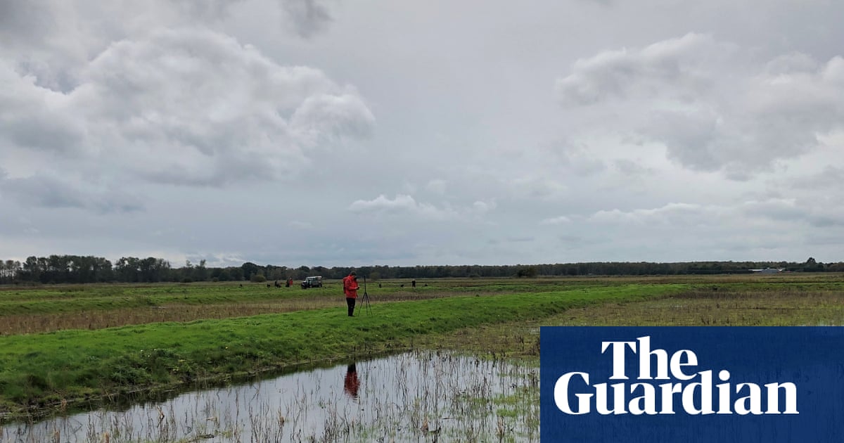 80% of the peatlands in England are dry and degraded, Map Show | Environment