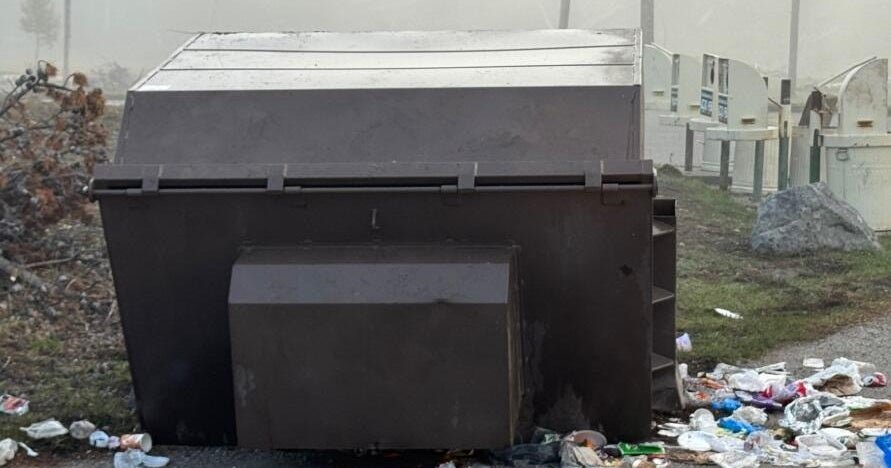 A 400-pound grizzly bear trapped in Yellowstone after seeking food and flipping bear-resistant bins.