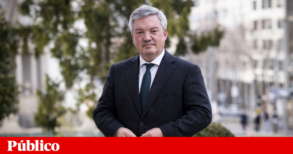 A Constituição confirma a perda de justiça de Gaia, Eduardo Victor Rodrigues | Justiça